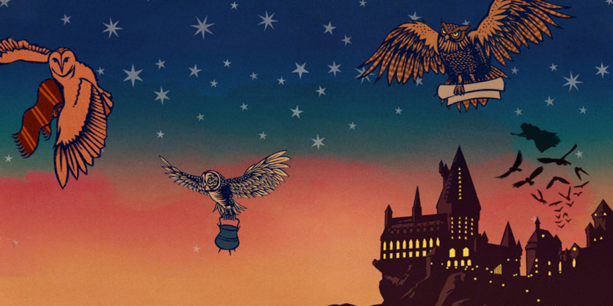 Magical Gathering: Relive the Global Fan Celebration
