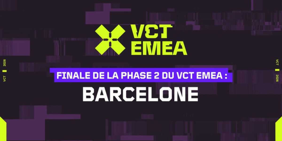 Zerance Holy Mint - Succès en VCT Game Changers