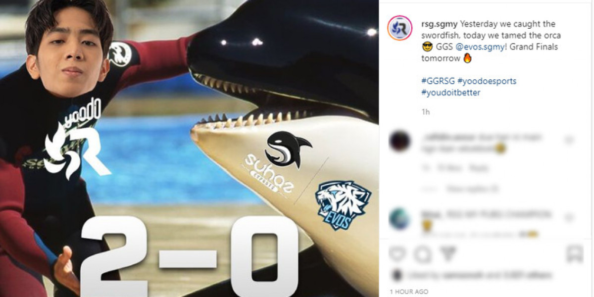 RSG MY's Playoff Run: From Underdogs to MPL Malaysia Finalists