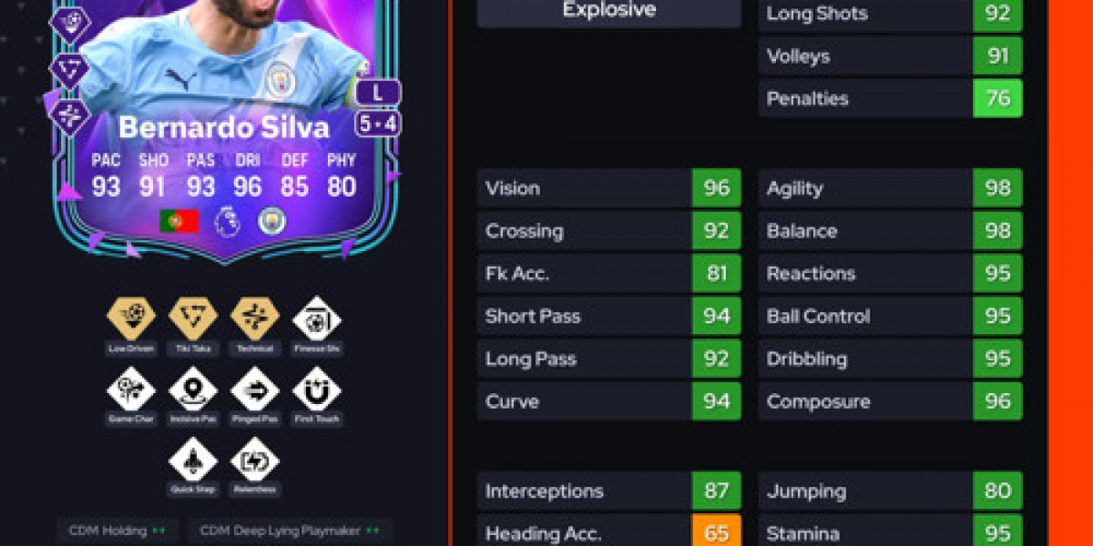 DCE Bernardo Silva Premium : solutions et prix